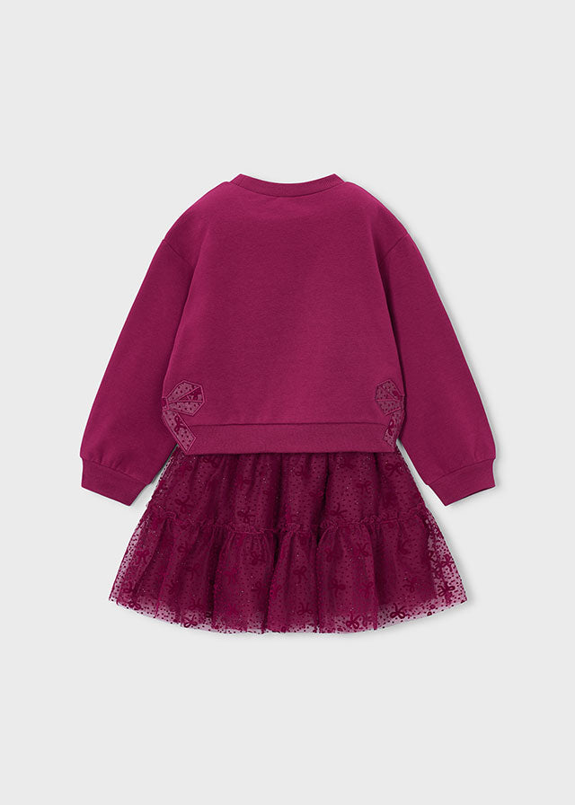 Tulle skirt set