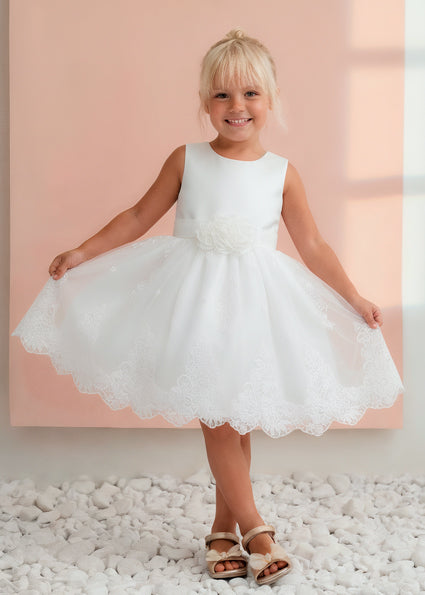 Organdy embroidered dress