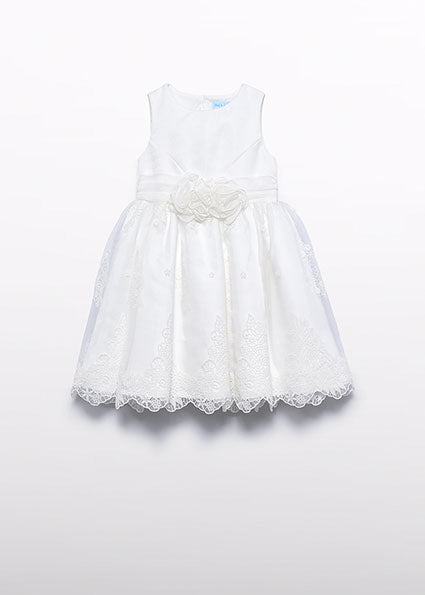 Organdy embroidered dress