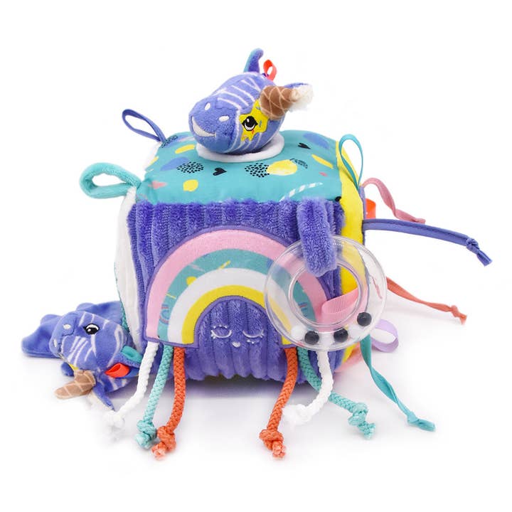 Activity cube kiprokos the zebra