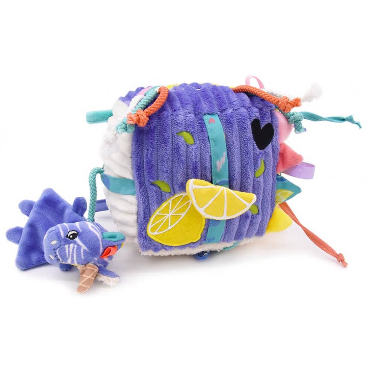 Activity cube kiprokos the zebra