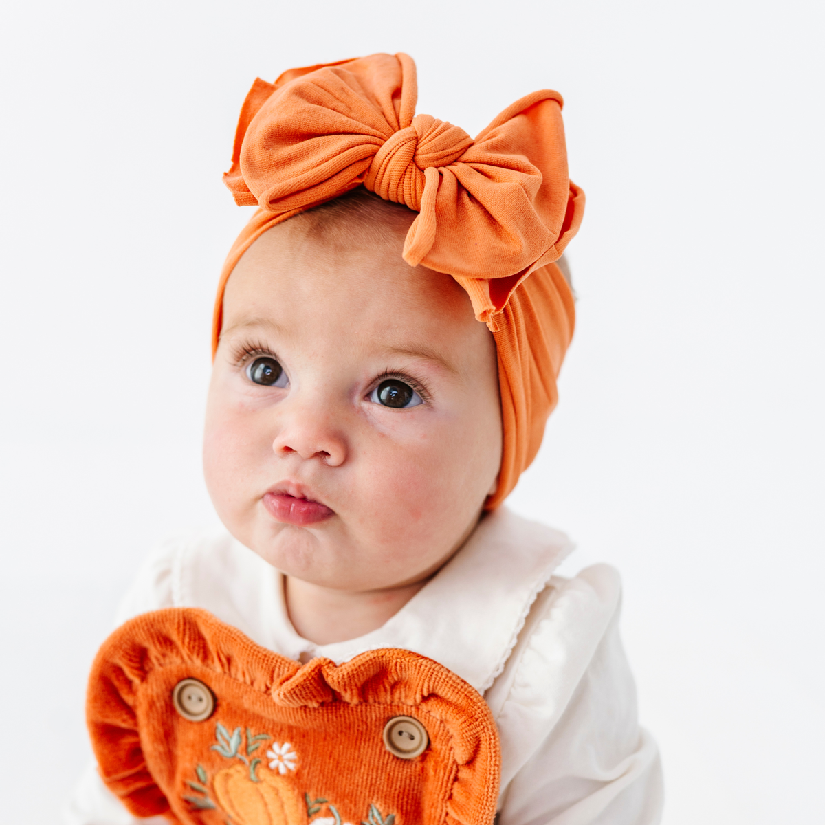 FAB-BOW-LOUS®: Zion