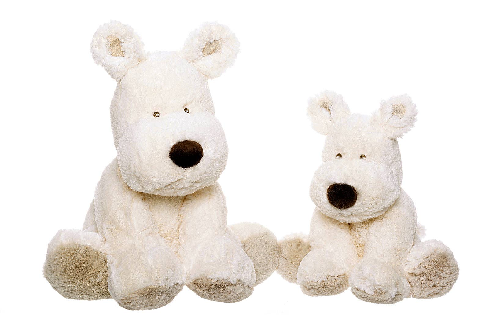 Medium Teddy Cream Dog White