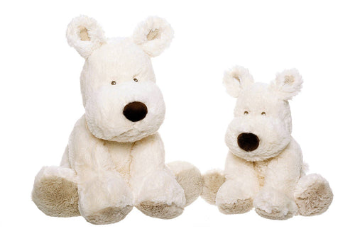 Medium Teddy Cream Dog White