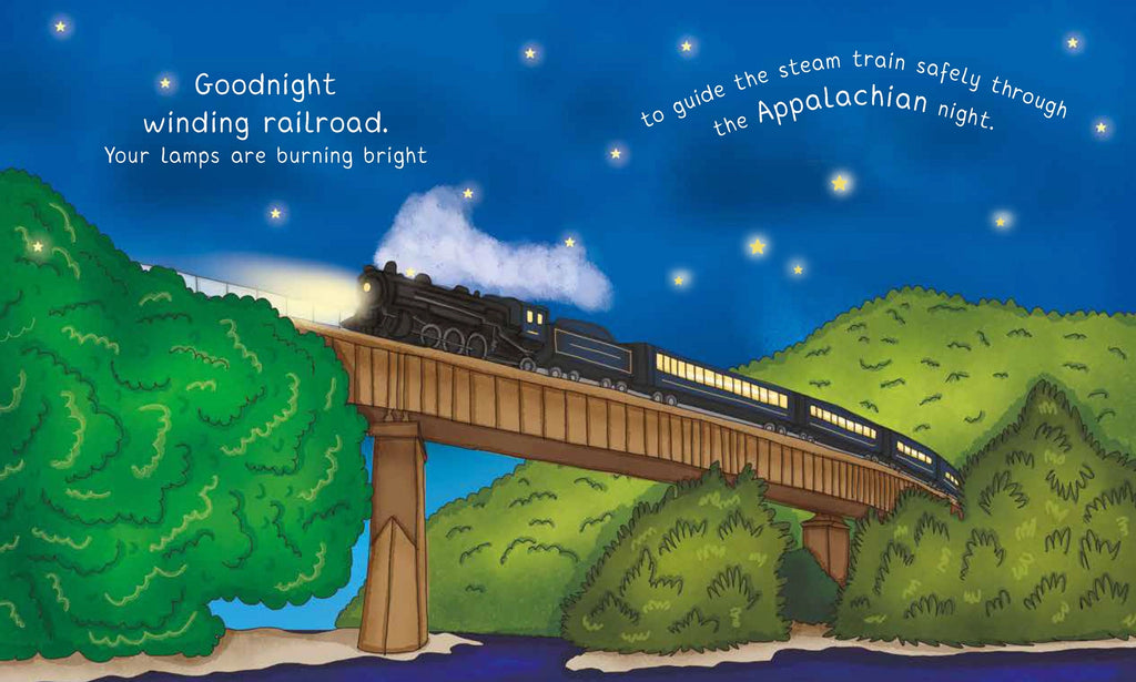 Night night PA book